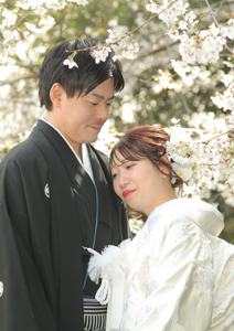 桜ロケーションフォト